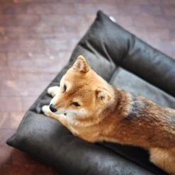 Cama Hunter Bologna Negra Para Perros -Gatos Perros Suministros Tienda 214699 214700 hunter hundebett bologna schwarz hs 09 2