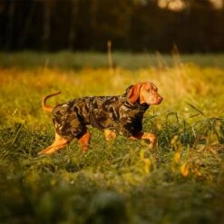 Chaqueta Rukka® Comfy Pile De Camuflaje Para Perros -Gatos Perros Suministros Tienda 216717 216718 217599 217600 216719 lfashion rukkapets comfy pilejacke camouflage hs 09 2