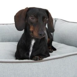 Cama Skara Modern Living Para Perros -Gatos Perros Suministros Tienda 218996 hundebett skara fg 8751 2