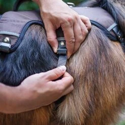 Arnés Ferplast Ergotrekking Marrón -Gatos Perros Suministros Tienda 224505 224506 224507 ferplast ergotrekking geschirr braun hs 11 2