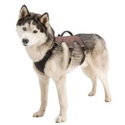 Arnés Ferplast Ergotrekking Marrón -Gatos Perros Suministros Tienda 224505 224506 224507 ferplast ergotrekking geschirr braun hs 13 7