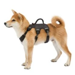 Arnés Ferplast Ergotrekking Negro 21 Arnés Ferplast Ergotrekking Negro -Gatos Perros Suministros Tienda 224508 224509 224510 ferplast ergotrekking geschirr schwarz hs 10 4