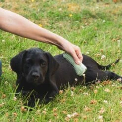 Pet Teezer Cepillo Para Cachorros -Gatos Perros Suministros Tienda 230724 pet teezer welpenbuerste hs 17 0