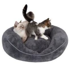 Cama Ortopédica Atlanta Modern Living Para Mascotas 33 Cama Ortopédica Atlanta Modern Living Para Mascotas -Gatos Perros Suministros Tienda 235396 und katze fg 9748 0