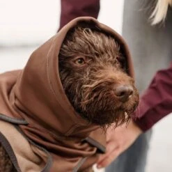 Abrigo Hurtta Bare Softshell Chocolate Para Perros -Gatos Perros Suministros Tienda 247796 247797 247896 247897 247898 247899 bestfriend hurtta bare softshell hundejacke chocolate hs 13 6