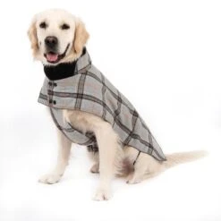 Abrigo Flannel Check Para Perros 17 Abrigo Flannel Check Para Perros -Gatos Perros Suministros Tienda 269071 flannel check 60cm fg 2336 5