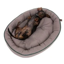 Cama Antibacteriana London Modern Living Para Perros 16 Cama Antibacteriana London Modern Living Para Perros -Gatos Perros Suministros Tienda 274563 hundebett london fg 2761 6