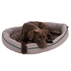 Cama Antibacteriana London Modern Living Para Perros 21 Cama Antibacteriana London Modern Living Para Perros -Gatos Perros Suministros Tienda 274564 labrador fg 2881 0