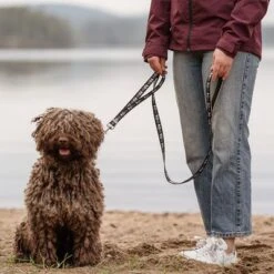 Correa Ajustable Hurtta Bare Carbón Para Perros 6 Correa Ajustable Hurtta Bare Carbón Para Perros -Gatos Perros Suministros Tienda 288348 hurtta bare verstellbare fuehrleine coal hs 02 1