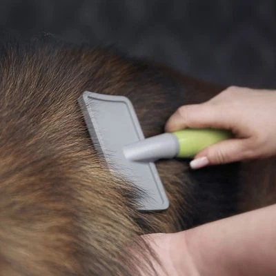 Carda Grande Moser Para Mascotas 3 Carda Grande Moser Para Mascotas - Imagen 3