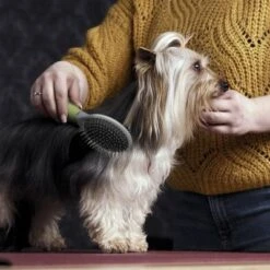 Cepillo De Doble Cara Moser Para Mascotas 5 Cepillo De Doble Cara Moser Para Mascotas -Gatos Perros Suministros Tienda 289796 moser beidseitige fellpflegebuerste hs 02 1