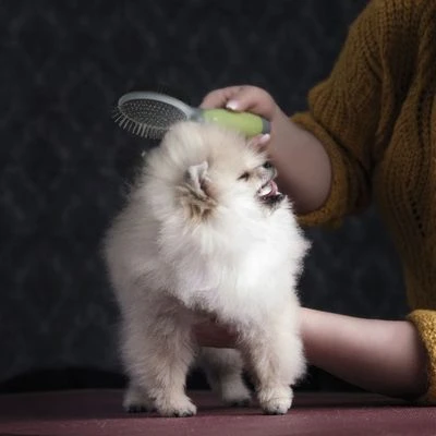 Cepillo De Doble Cara Moser Para Mascotas 2 Cepillo De Doble Cara Moser Para Mascotas - Imagen 2