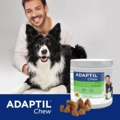 ADAPTIL® Chew Para Perros -Gatos Perros Suministros Tienda 302596 cevadeutschland adaptil chew hunde 30chews hs 06 6