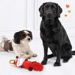 Doglove Zorro De Juguete Para Perros -Gatos Perros Suministros Tienda 303196 edupet doglove hundespielzeug fuchs hs 05 9