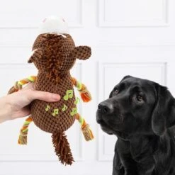 Doglove Caballo De Juguete Para Perros -Gatos Perros Suministros Tienda 303597 edupet doglove hundespielzeug pferd hs 03 7