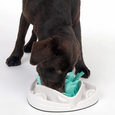 TIAKI Grass Slow Feeder Juguete De Inteligencia Para Perros 9 TIAKI Grass Slow Feeder Juguete De Inteligencia Para Perros - Imagen 9