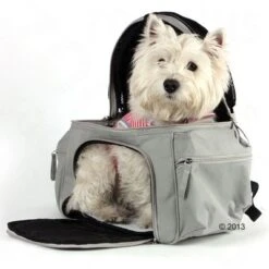 Trasportín Mochila Sightseeing -Gatos Perros Suministros Tienda 305015 will rucksack 7490 03 2013 8