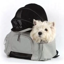 Trasportín Mochila Sightseeing -Gatos Perros Suministros Tienda 305015 will rucksack 7511 03 2013 0