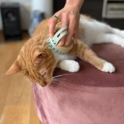 Kooa Cepillo Masajeador Para Gatos -Gatos Perros Suministros Tienda 309896 kooa massageb rste f r katzen hs 06 0