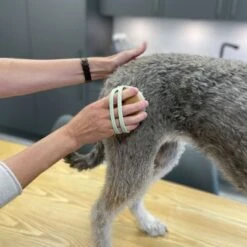 Kooa Cepillo Masajeador Para Gatos -Gatos Perros Suministros Tienda 309896 kooa massageb rste f r katzen hs 08 8