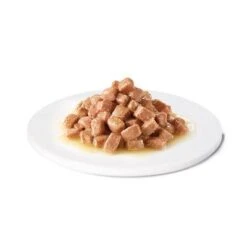 Advance Recovery Veterinary Diets Comida Húmeda Para Perros Y Gatos -Gatos Perros Suministros Tienda 309899 affinityspain advance veterinarydiets dogrecovery hs 04 1