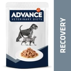 Advance Recovery Veterinary Diets Comida Húmeda Para Perros Y Gatos -Gatos Perros Suministros Tienda 309899 affinityspain advance veterinarydiets dogrecovery hs 05 0