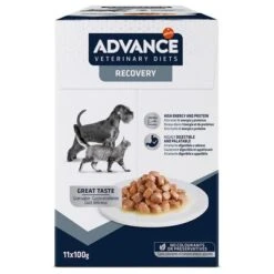 Advance Recovery Veterinary Diets Comida Húmeda Para Perros Y Gatos -Gatos Perros Suministros Tienda 309899 pla affinityspain advance veterinarydiets dogrecovery hs 01 5
