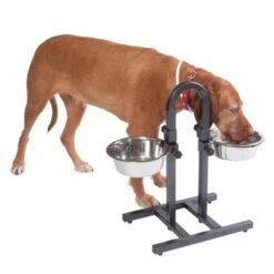 Soporte Ajustable Con Dos Comederos De 1,6 L 12 Soporte Ajustable Con Dos Comederos De 1,6 L -Gatos Perros Suministros Tienda 313525 u hundebar 06 dsc9199 3