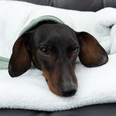 Manta Para Perros Modern Living Victoria 11 Manta Para Perros Modern Living Victoria - Imagen 11