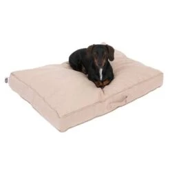 Colchón TIAKI Memory Foam Beige Para Perros 21 Colchón TIAKI Memory Foam Beige Para Perros -Gatos Perros Suministros Tienda 318697 tiaki hundematratze beige fg 5020 2