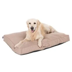 Colchón TIAKI Memory Foam Beige Para Perros 20 Colchón TIAKI Memory Foam Beige Para Perros -Gatos Perros Suministros Tienda 318698 mit hund fg 5093 8