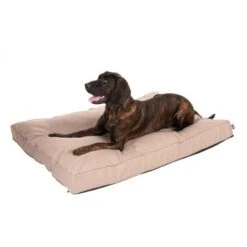 Colchón TIAKI Memory Foam Beige Para Perros 22 Colchón TIAKI Memory Foam Beige Para Perros -Gatos Perros Suministros Tienda 318699 mit hund fg 5104 1