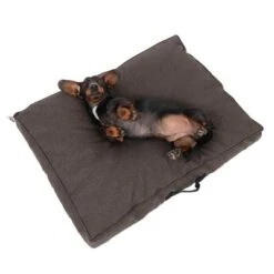 Colchón TIAKI Memory Foam Marrón Para Perros -Gatos Perros Suministros Tienda 318700 tiaki hundematzratze braun fg 5058 5