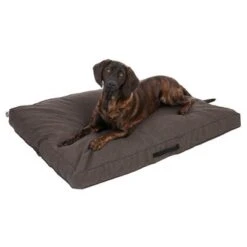 Colchón TIAKI Memory Foam Marrón Para Perros -Gatos Perros Suministros Tienda 318702 mit hund fg 5116 0