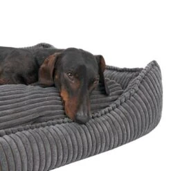 Cama Modern Living Helena Para Perros 39 Cama Modern Living Helena Para Perros -Gatos Perros Suministros Tienda 320397 hundebett helena grau fg 2233 5