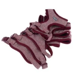 Arnés Nomad Tales Calma Burdeos Para Perros -Gatos Perros Suministros Tienda 324717 324718 325597 325598 325599 325899 325900 nomad tales calma geschirre fg 1570 3