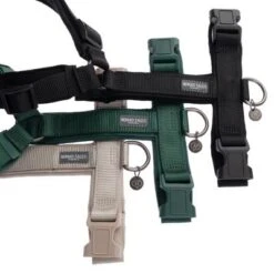 Arnés Nomad Tales Blush ébano Para Perros -Gatos Perros Suministros Tienda 325399 nomad tales blush geschirre fg 1294 4