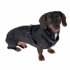 Arnés Nomad Tales Blush ébano Para Perros -Gatos Perros Suministros Tienda 325401 blush s fg 6954 3