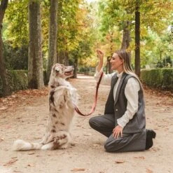 Correa Nomad Tales Blush Vino Para Perros -Gatos Perros Suministros Tienda 325600 325601 nomadtales blush hundeleine rose hs 07 4