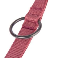 Correa Nomad Tales Blush Vino Para Perros -Gatos Perros Suministros Tienda 325601 nomad tales blush hundeleine rose fg 1401 7