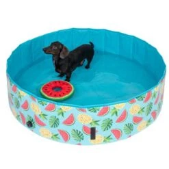 Piscina Para Perros TIAKI Con Cubierta -Gatos Perros Suministros Tienda 325909 schwimmende wassermelone mit ball fg 6696 3
