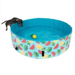 Piscina Para Perros TIAKI Con Cubierta -Gatos Perros Suministros Tienda 326696 floating pineapple fg 6641 9