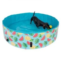 Piscina Para Perros TIAKI Con Cubierta -Gatos Perros Suministros Tienda 326696 floating pineapple fg 6648 6