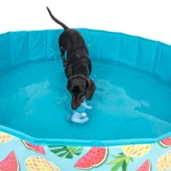 Piscina Para Perros TIAKI Con Cubierta -Gatos Perros Suministros Tienda 329014 tiaki seahorse fg 6664 7