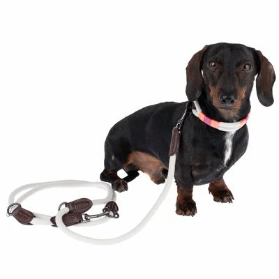 Correa Ajustable Nomad Tales Spirit Piedra Para Perros 2 Correa Ajustable Nomad Tales Spirit Piedra Para Perros - Imagen 2