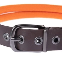 Collar Nomad Tales Spirit Mandarina Para Perros -Gatos Perros Suministros Tienda 329297 nomad tales spirit leinen halsbaender fg 1754 8
