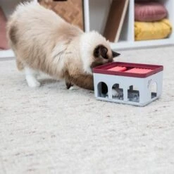 Trixie Cat Activity Rod Box Juego De Inteligencia Para Gatos -Gatos Perros Suministros Tienda 332214 trixie cat activity rod box hs 09 1