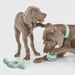 Pelota Portasnacks Nomad Tales Bloom Snack Roller Juguete Para Perros 17 Pelota Portasnacks Nomad Tales Bloom Snack Roller Juguete Para Perros -Gatos Perros Suministros Tienda 333015 nomad tales snack ball 01 4