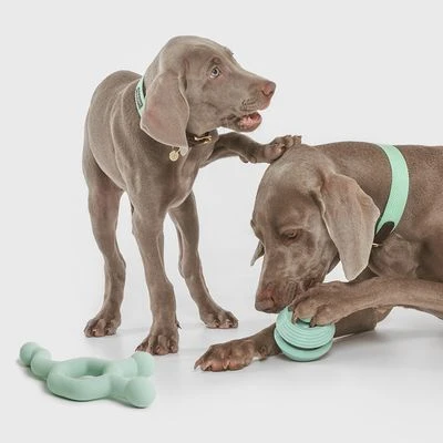 Pelota Portasnacks Nomad Tales Bloom Snack Roller Juguete Para Perros 9 Pelota Portasnacks Nomad Tales Bloom Snack Roller Juguete Para Perros - Imagen 9