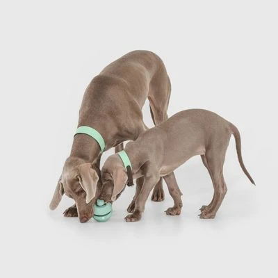 Pelota Portasnacks Nomad Tales Bloom Snack Roller Juguete Para Perros 3 Pelota Portasnacks Nomad Tales Bloom Snack Roller Juguete Para Perros - Imagen 3